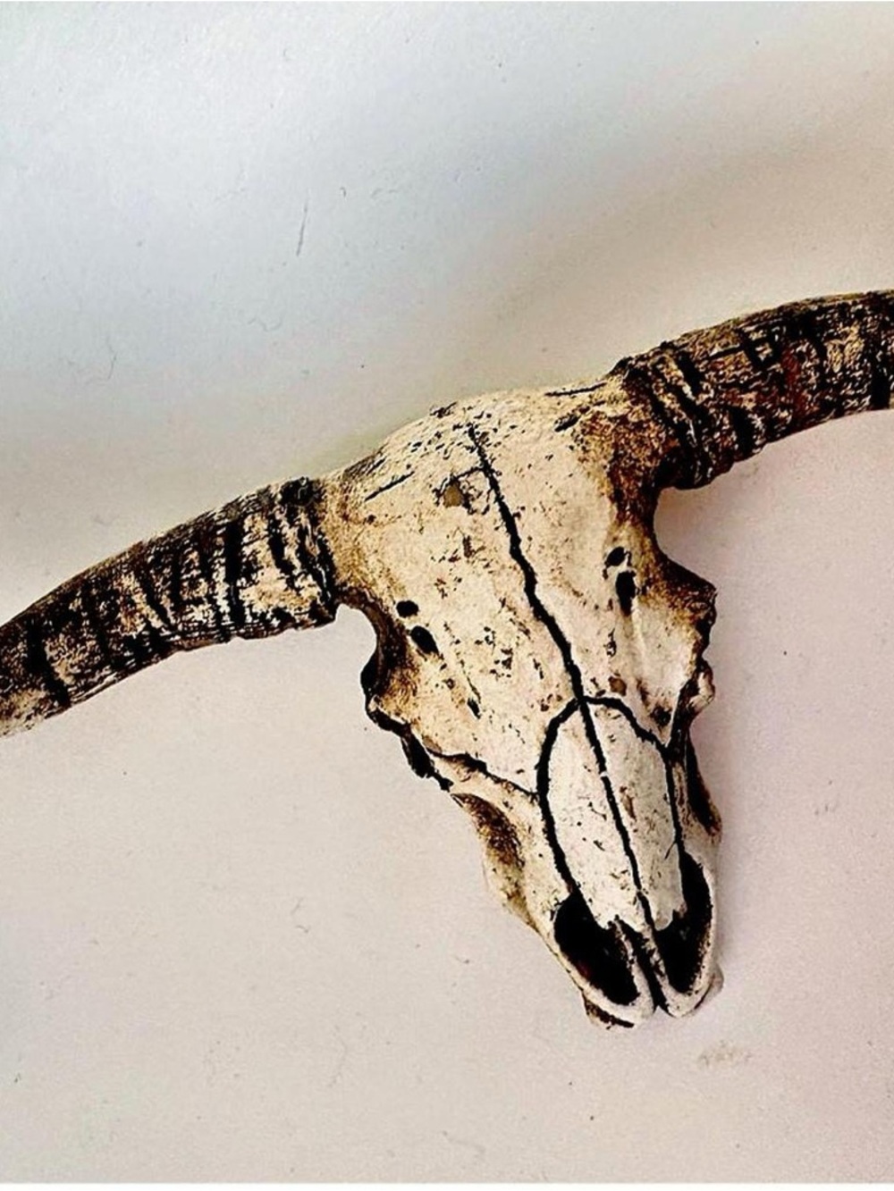 Cream and Brown Bull Skull Brooch - Women Jewelry Brooches